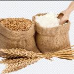 Fruits & Wheat 108 PNGs – Fresh Fruits, Wheat & Healthy Food Transparent Images