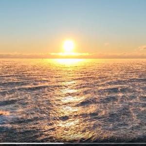 200+ Royalty-Free Stock Videos – UHD 4K Collection for Editing & Marketing