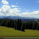 200+ Royalty-Free Stock Videos – UHD 4K Collection for Editing & Marketing