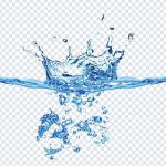 Download 200+ Nature PNG Pack – Greenery, Leaves & Outdoor Designs