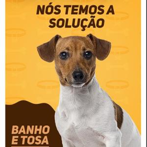 Download 9 Pet Shop PSD Stories Templates | Editable Photoshop Instagram & Social Media Designs for Pet Stores