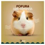 Download 100+ Pet Shop PSD Templates | Mega Bundle of Editable Flyers, Banners & Social Media Designs for Pet Stores