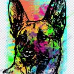 Download 2500 Plus T-Shirt CDR Designs – Premium Editable CorelDRAW Graphics for Fashion & Printing