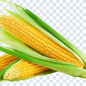 Download All Food PNGs – Transparent High-Quality Food & Beverage Images Pack