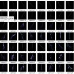 Mega Bundle: Logo, Elements, Background, Overlay & Icon Bundles | Editable PSD, PNG & Vector Design Assets