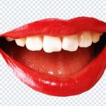 Download 250+ Mouth PNG Pack – Faces, Lips & Expressions PNGs