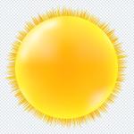 Download 200+ Nature PNG Pack – Greenery, Leaves & Outdoor Designs