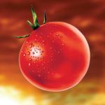 BBQ Brochures & Pamphlets Bundle PSD | Editable Restaurant Flyer Templates for Grill & Food Promotions