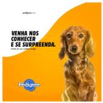 Download 22 Pet Shop PSD Templates | Editable Photoshop Flyers, Banners & Social Media Designs for Pet Stores