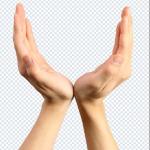 1000+ Hands PNGs Bundle – Hand Gestures, Signs & Transparent Images Pack