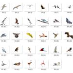 Mega Bundle: Logo, Elements, Background, Overlay & Icon Bundles | Editable PSD, PNG & Vector Design Assets