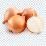 Download Fruit & Vegetable PNG Pack – Transparent High-Resolution Food Graphics
